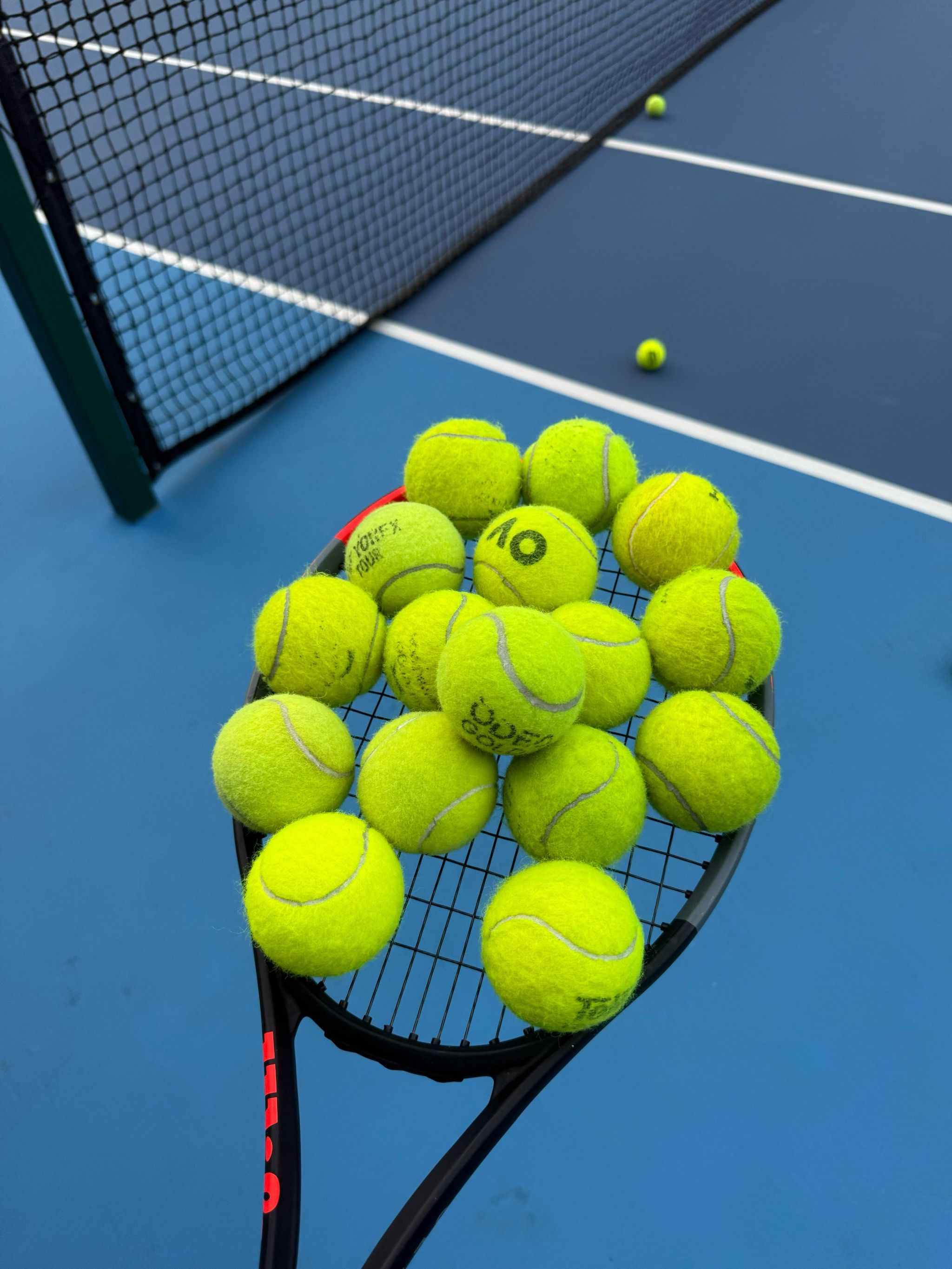 质疑与抉择 质疑与抉择